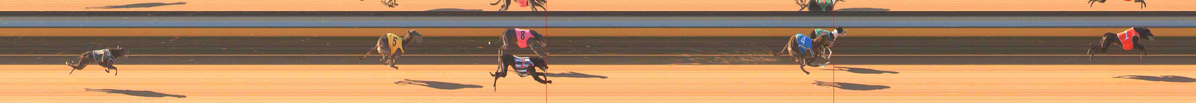 Photo finish for Warrnambool Race 1