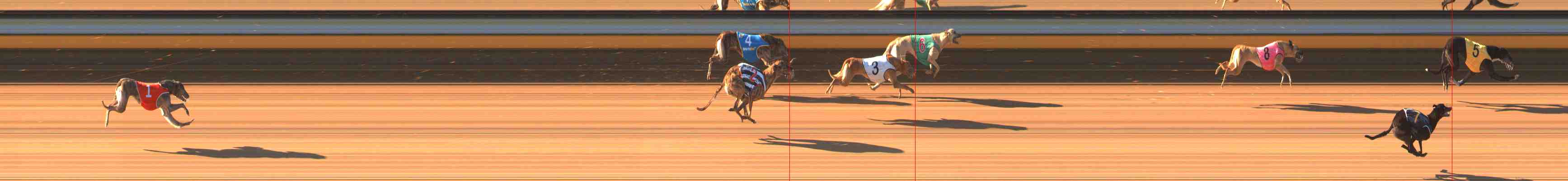 Photo finish for Warrnambool Race 2