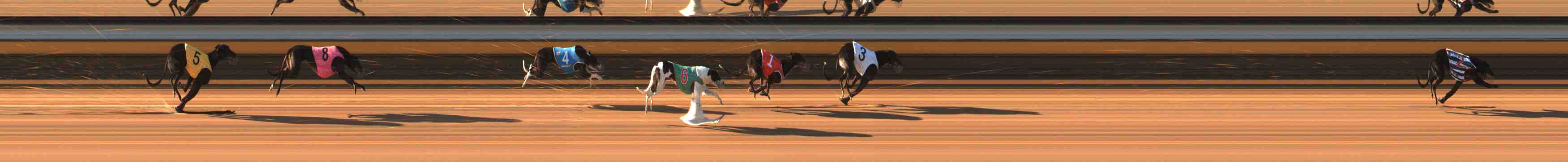 Photo finish for Warrnambool Race 3