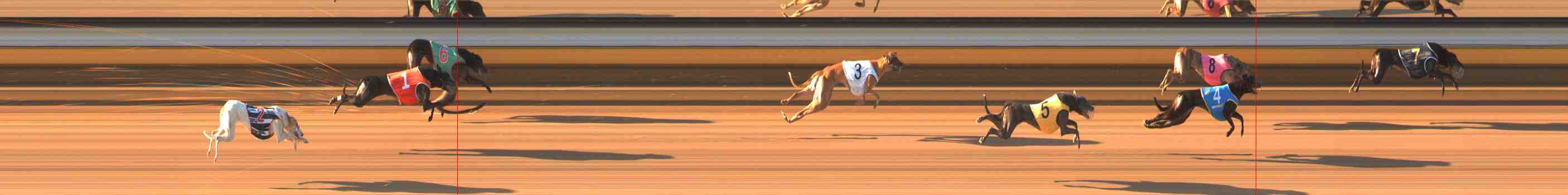 Photo finish for Warrnambool Race 4