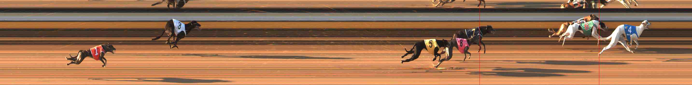 Photo finish for Warrnambool Race 5