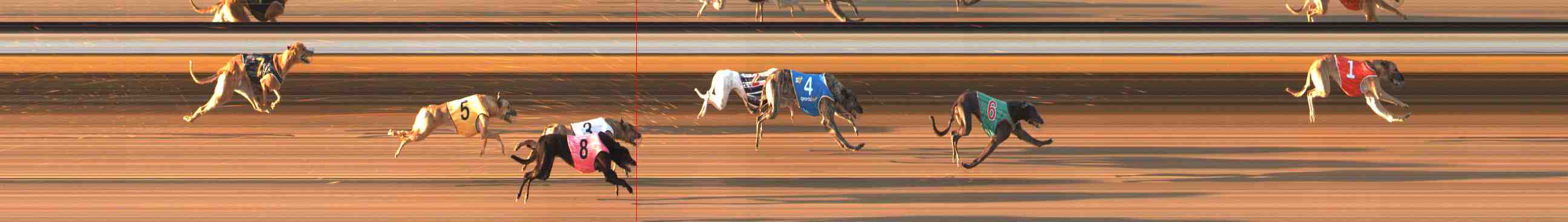 Photo finish for Warrnambool Race 6