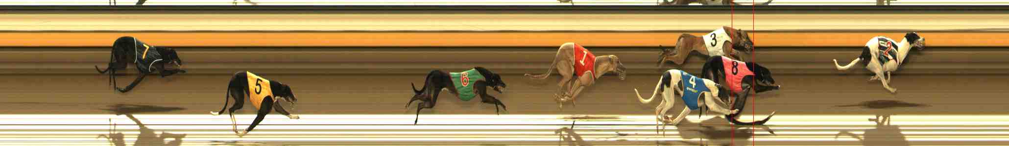 Photo finish for Warrnambool Race 9