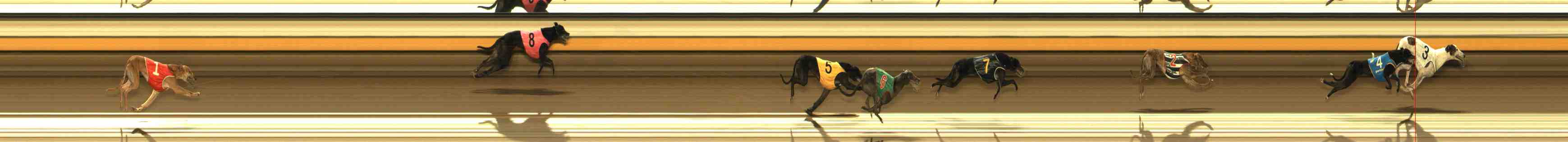 Photo finish for Warrnambool Race 10