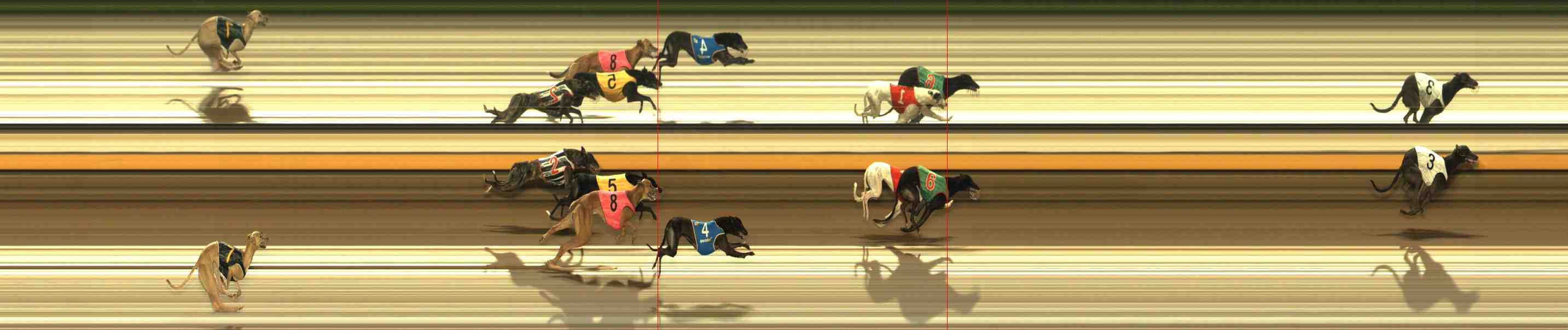 Photo finish for Warrnambool Race 11