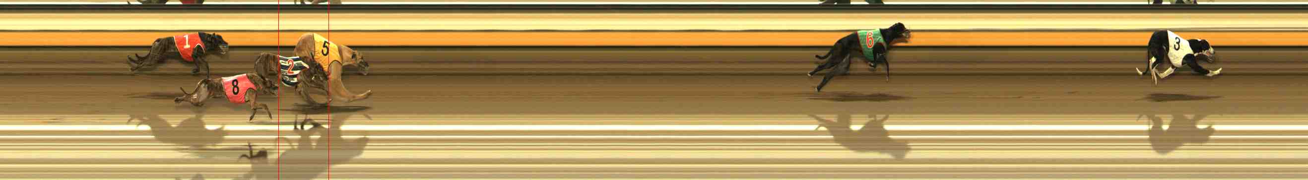 Photo finish for Warrnambool Race 12
