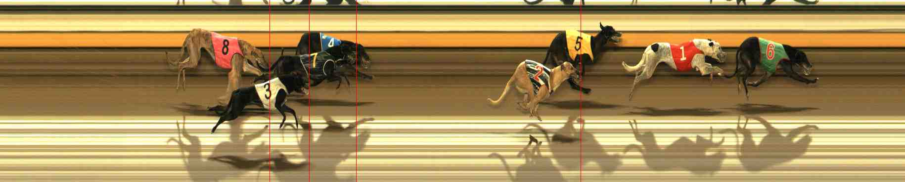 Photo finish for Warrnambool Race 13