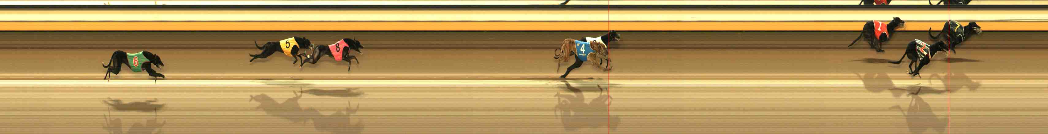 Photo finish for Warrnambool Race 1