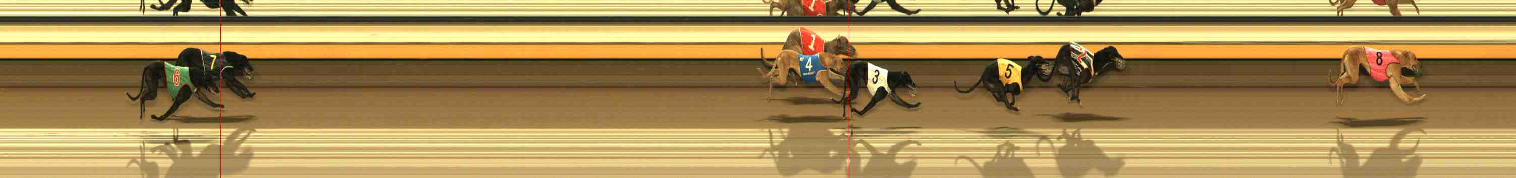 Photo finish for Warrnambool Race 2