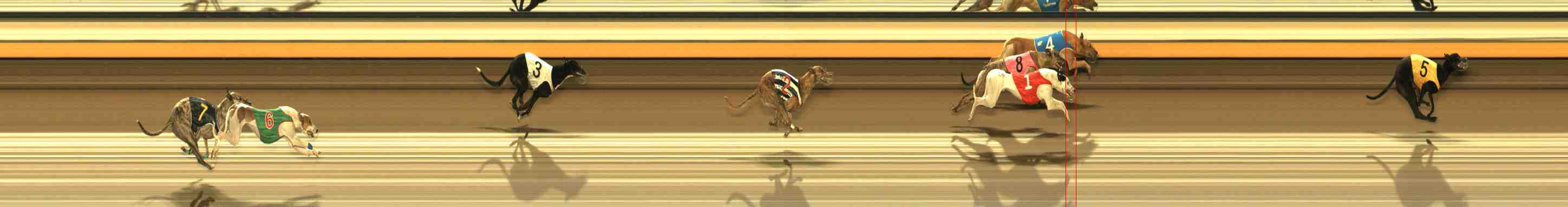 Photo finish for Warrnambool Race 3