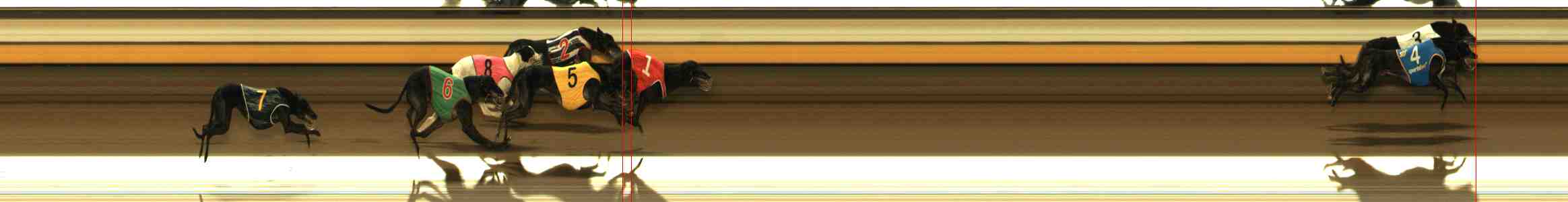 Photo finish for Warrnambool Race 4