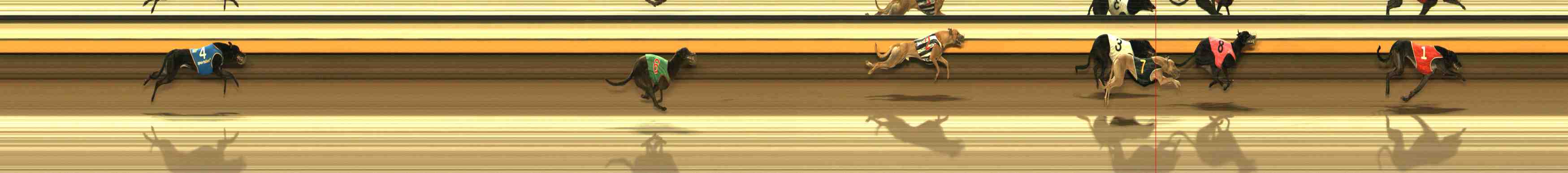 Photo finish for Warrnambool Race 5