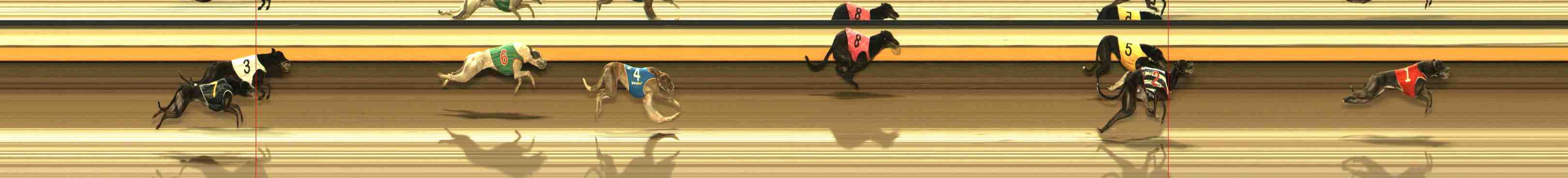 Photo finish for Warrnambool Race 6