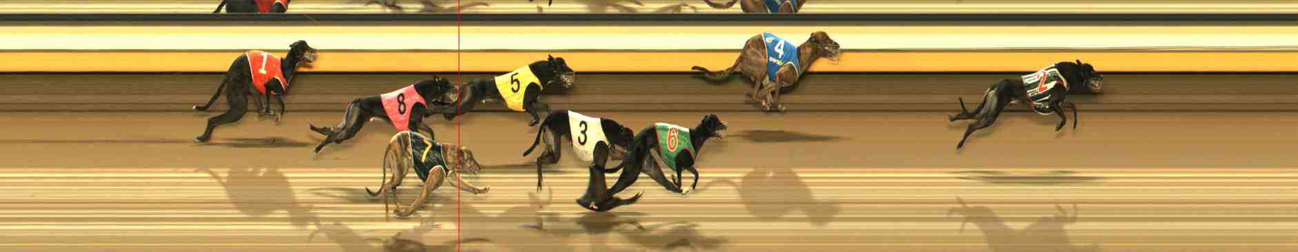 Photo finish for Warrnambool Race 7