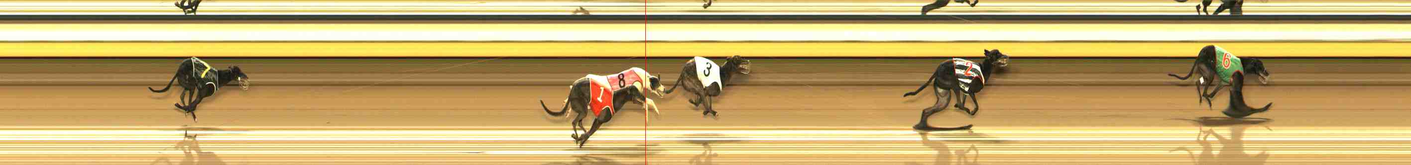 Photo finish for Warrnambool Race 8