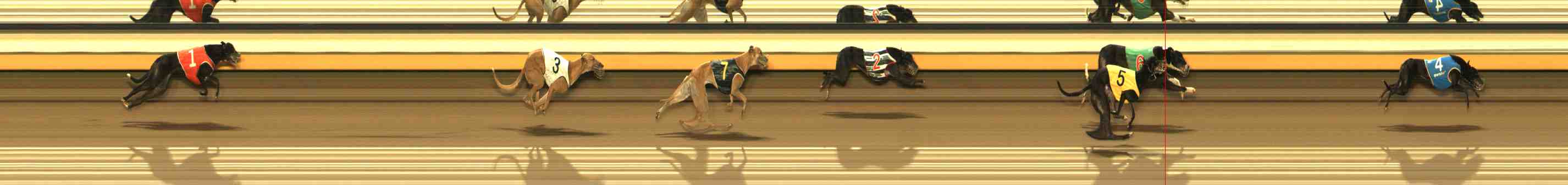 Photo finish for Warrnambool Race 9