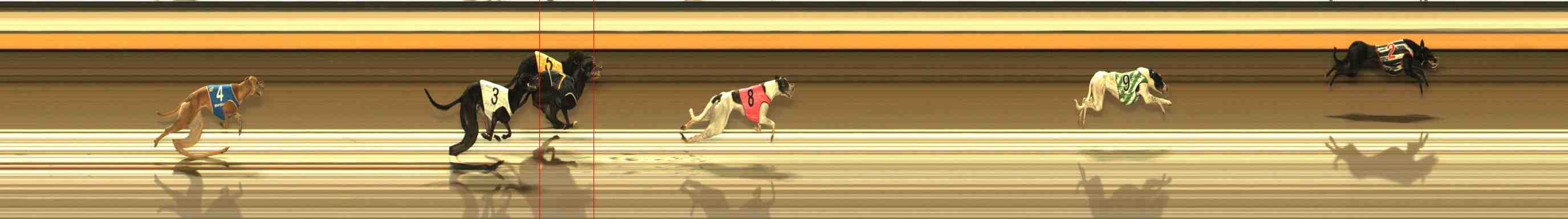 Photo finish for Warrnambool Race 10