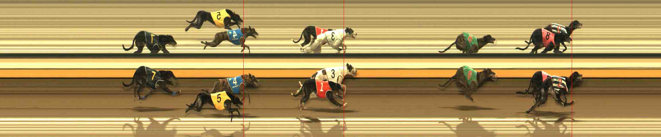 Photo finish for Warrnambool Race 12
