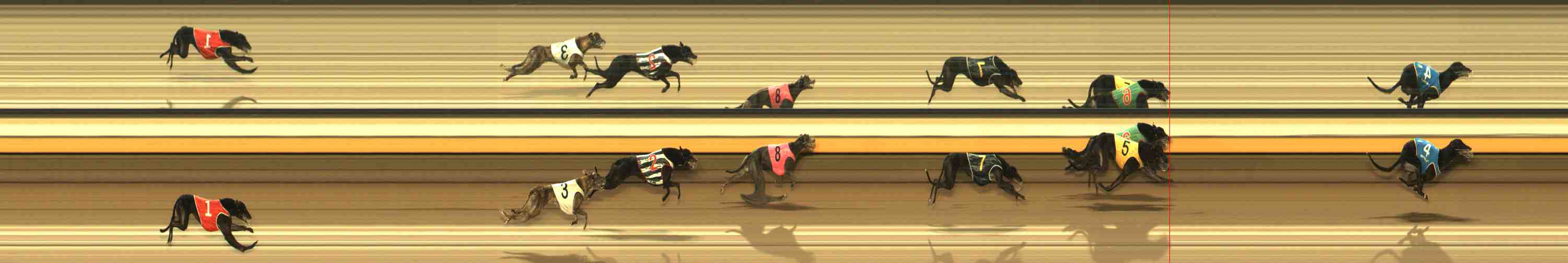 Photo finish for Warrnambool Race 13
