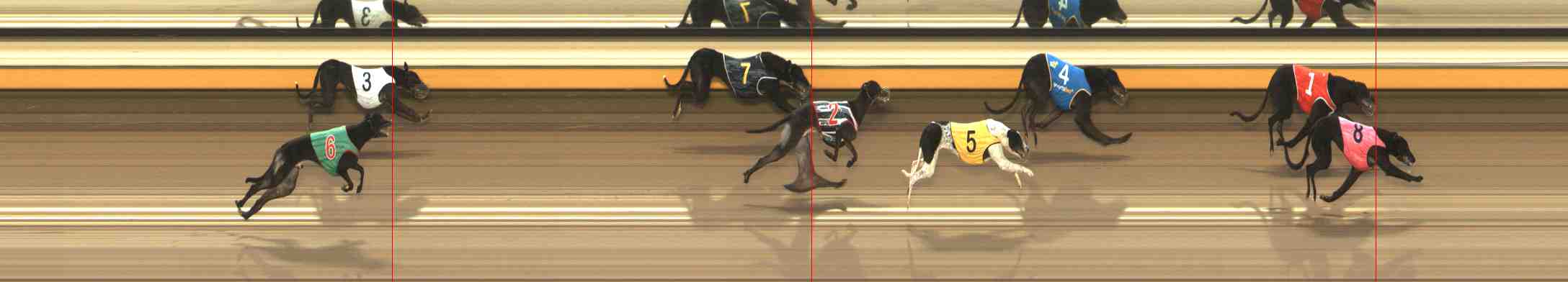 Photo finish for Warrnambool Race 1