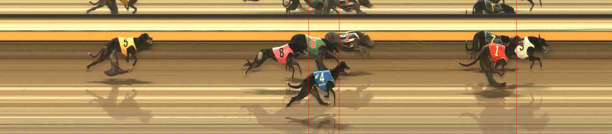 Photo finish for Warrnambool Race 2