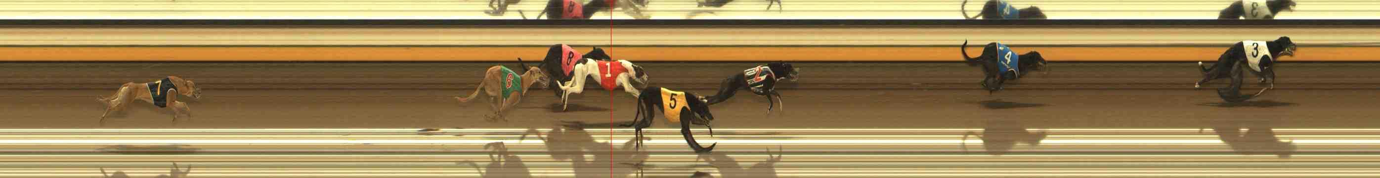 Photo finish for Warrnambool Race 3