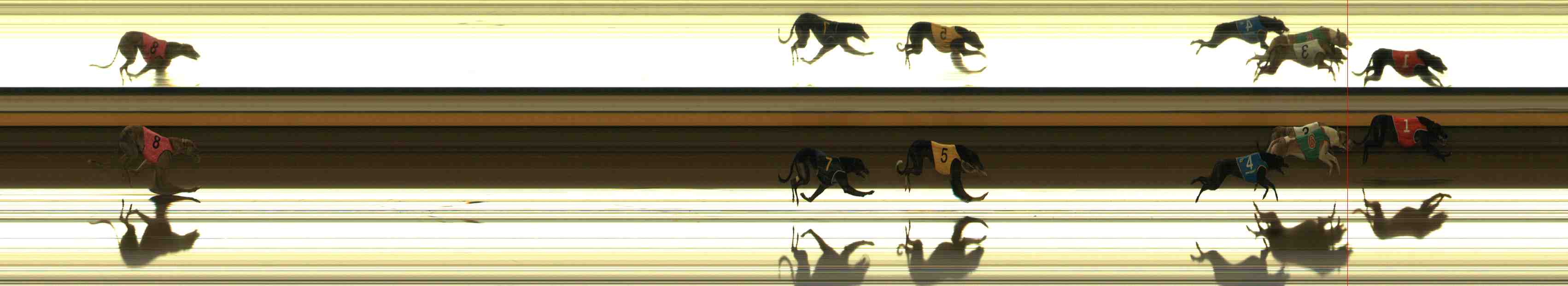 Photo finish for Warrnambool Race 4