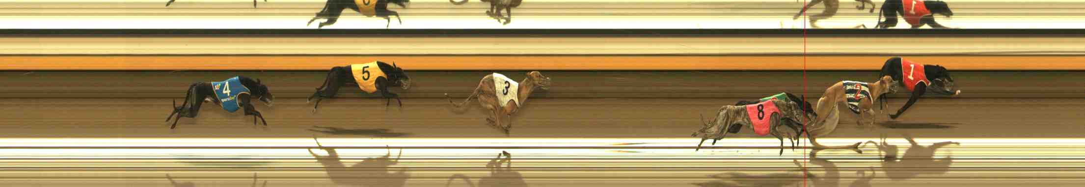 Photo finish for Warrnambool Race 5