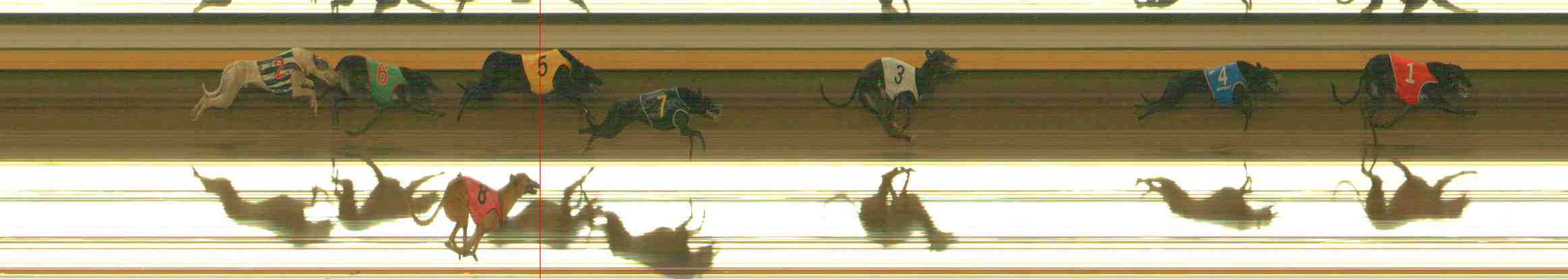 Photo finish for Warrnambool Race 6