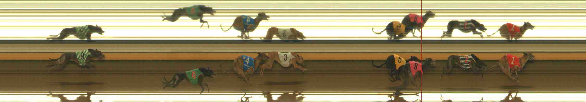 Photo finish for Warrnambool Race 7