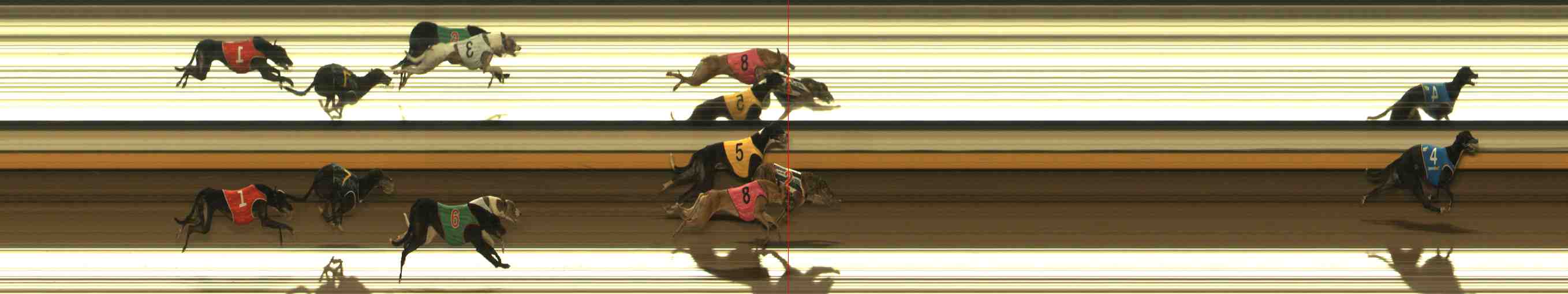 Photo finish for Warrnambool Race 10