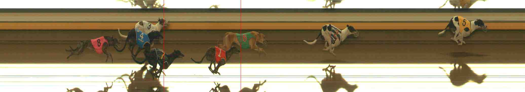 Photo finish for Warrnambool Race 11