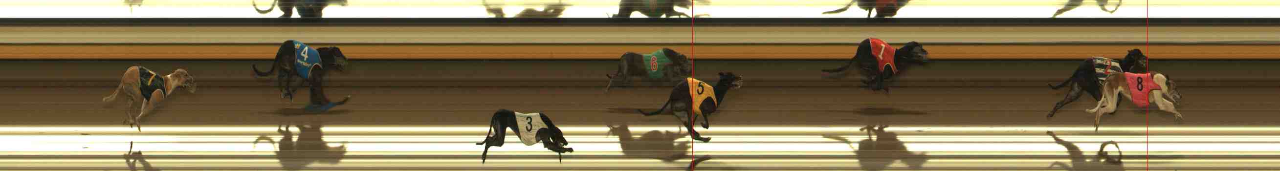 Photo finish for Warrnambool Race 12