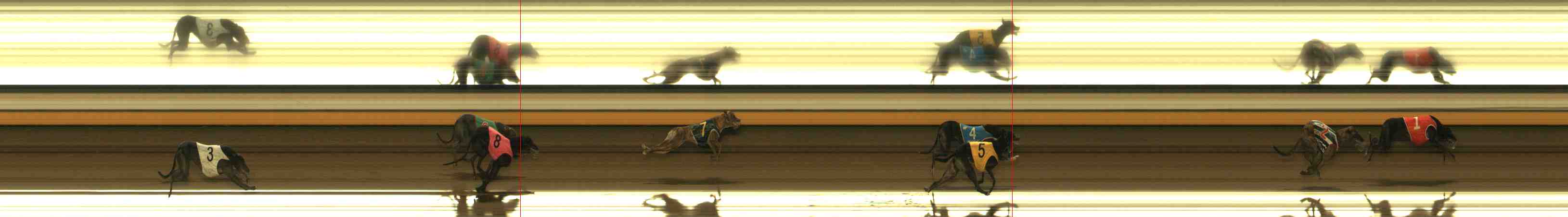 Photo finish for Warrnambool Race 13