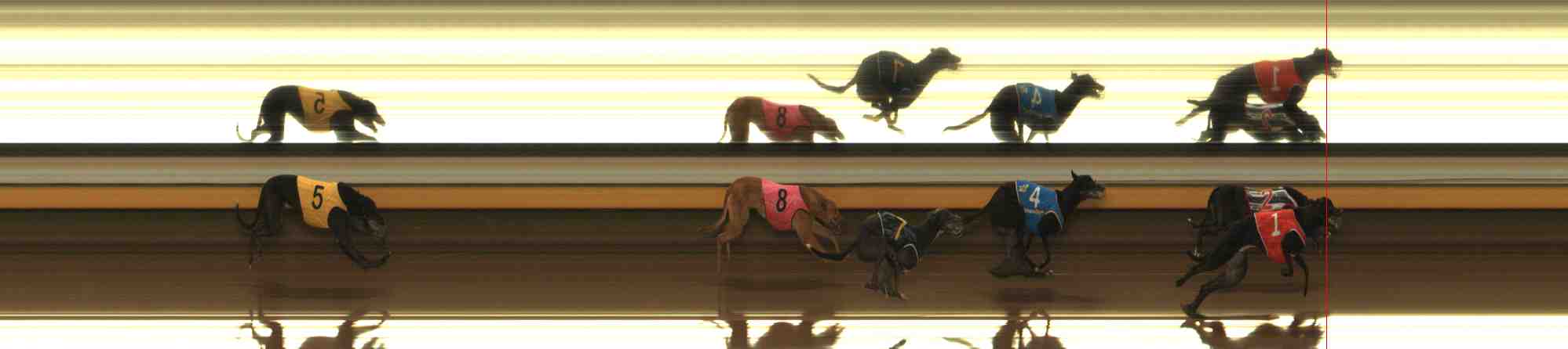 Photo finish for Warrnambool Race 1