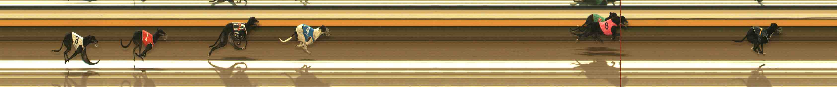Photo finish for Warrnambool Race 2