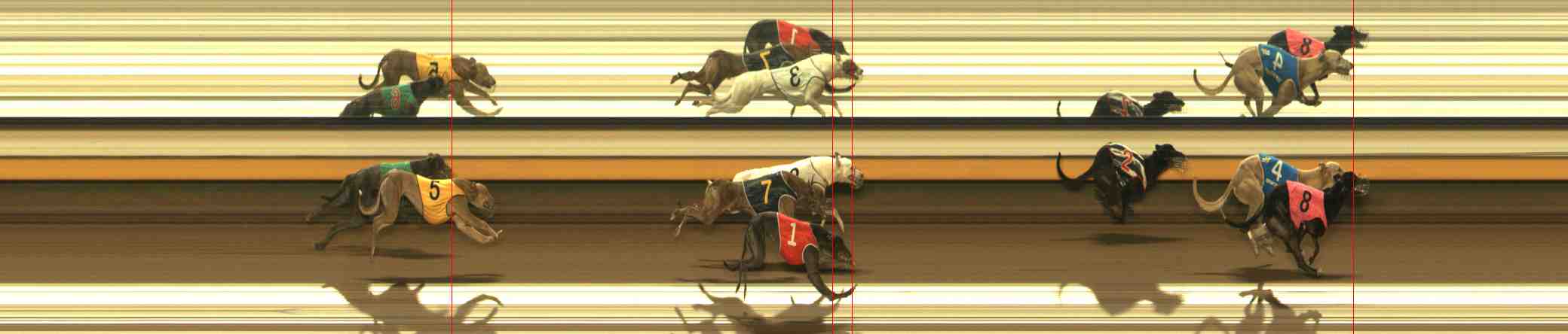 Photo finish for Warrnambool Race 3