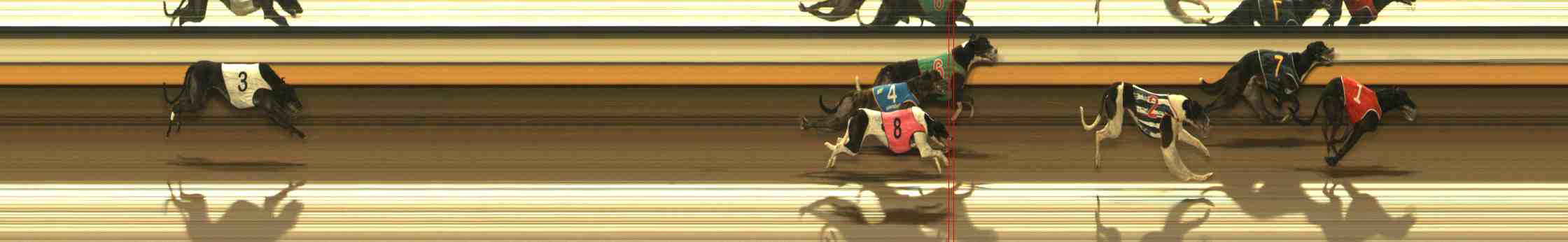 Photo finish for Warrnambool Race 4