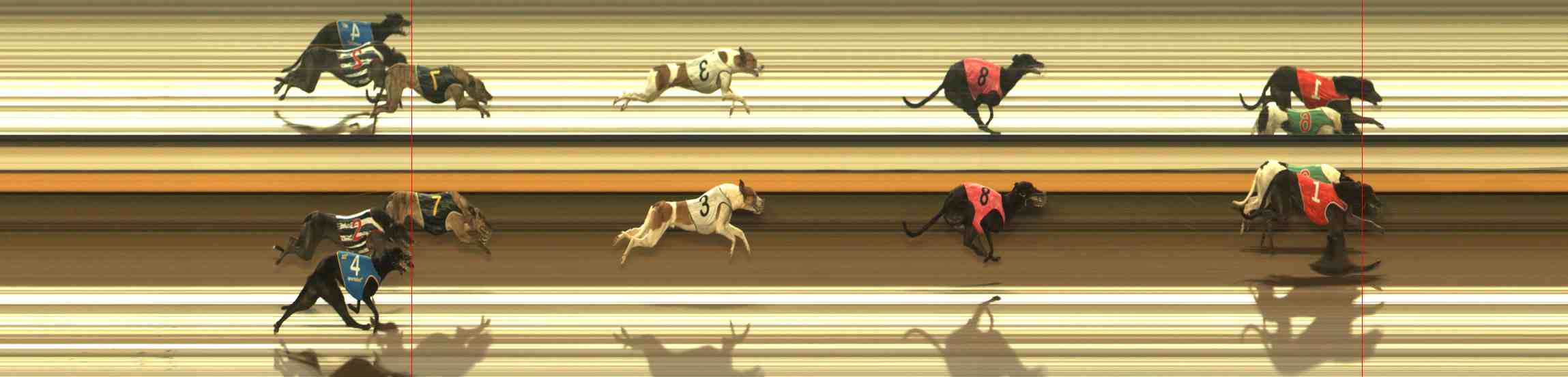 Photo finish for Warrnambool Race 5