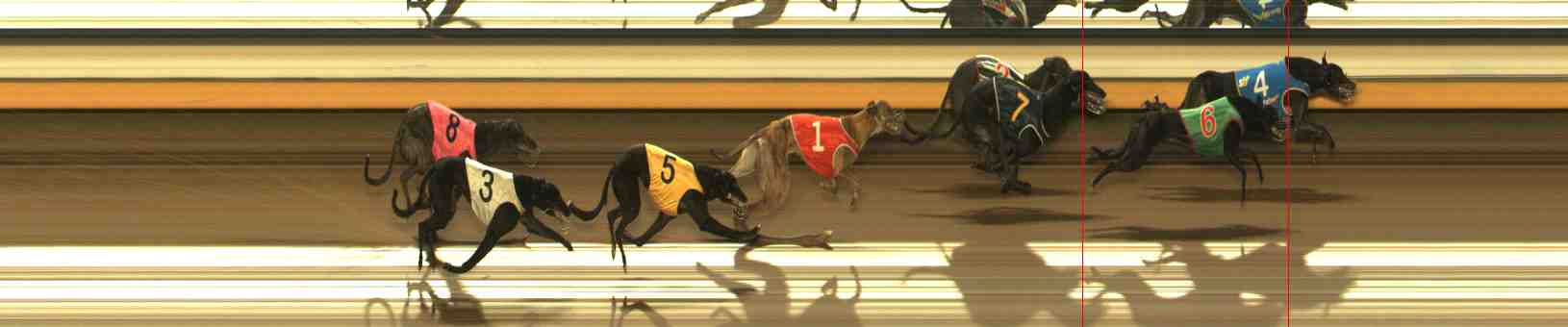 Photo finish for Warrnambool Race 6