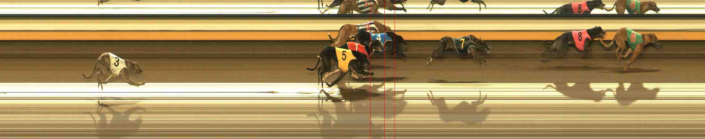Photo finish for Warrnambool Race 8