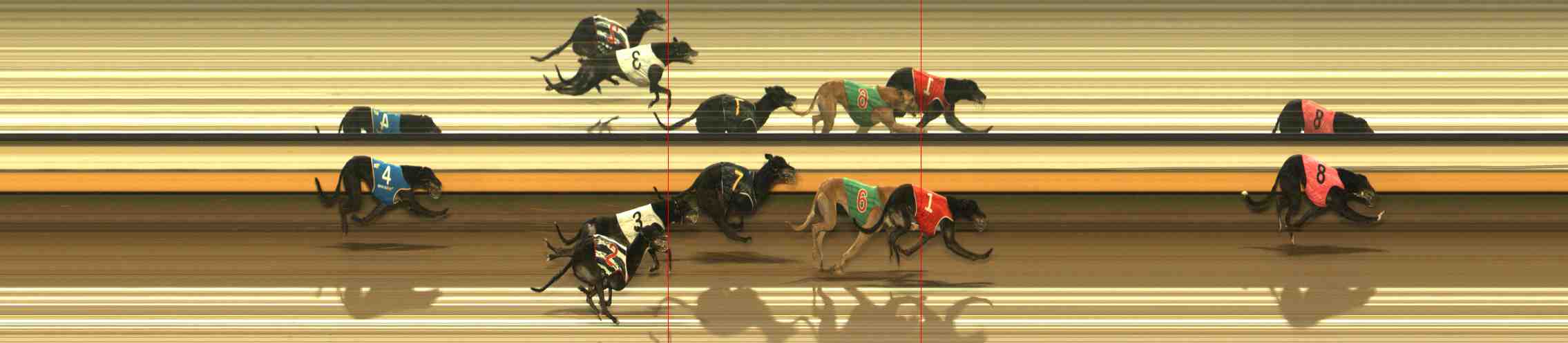 Photo finish for Warrnambool Race 9