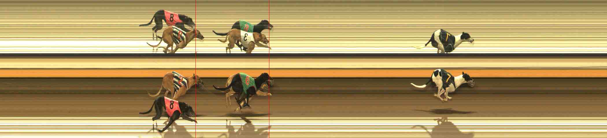 Photo finish for Warrnambool Race 10