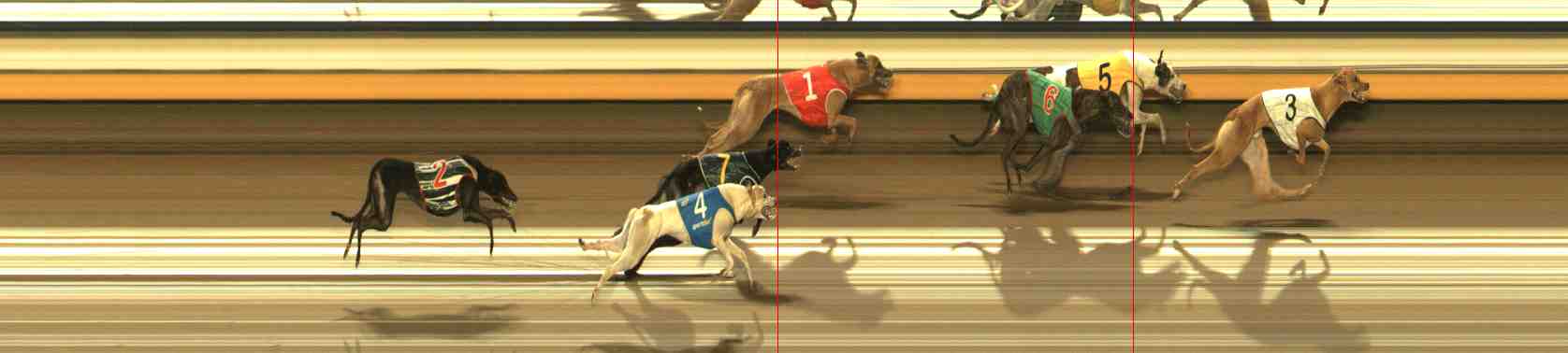 Photo finish for Warrnambool Race 11