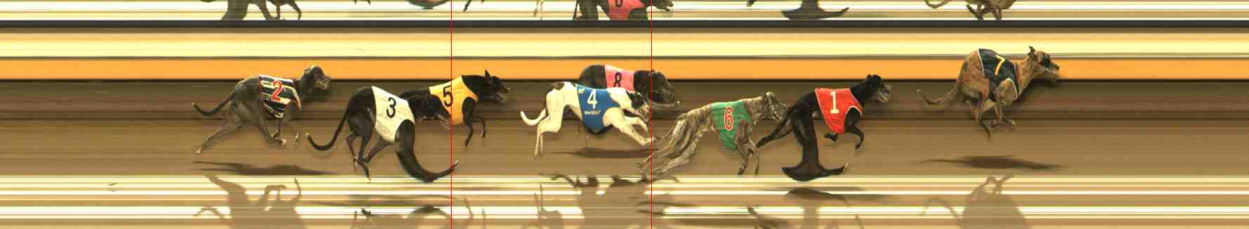 Photo finish for Warrnambool Race 12