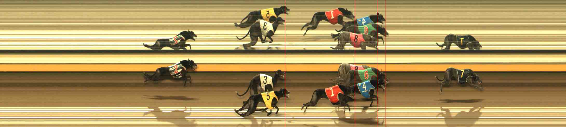 Photo finish for Warrnambool Race 13