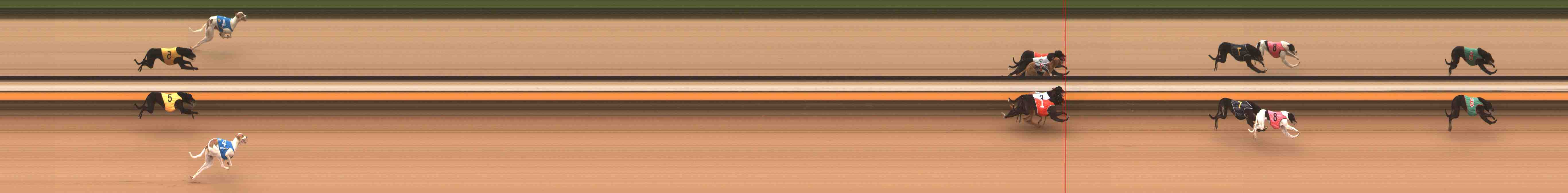 Photo finish for Warrnambool Race 1