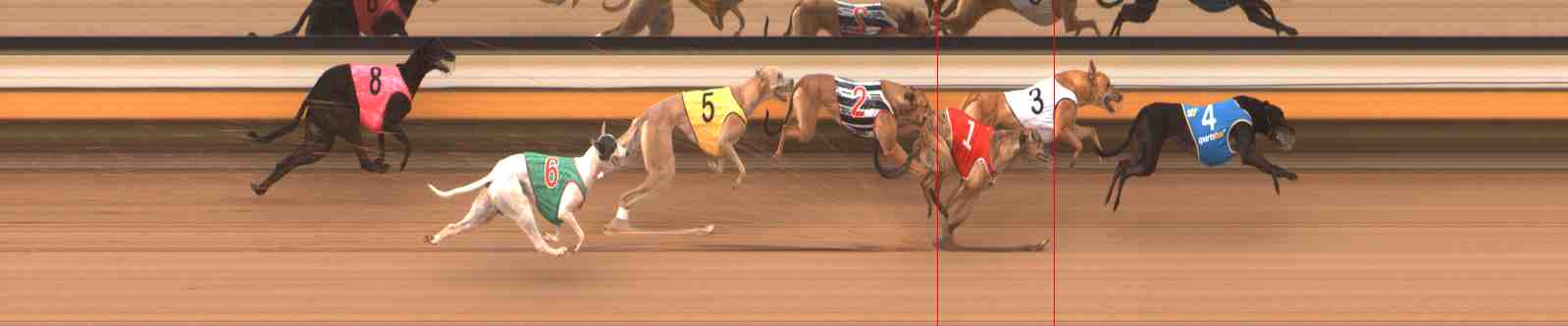 Photo finish for Warrnambool Race 2