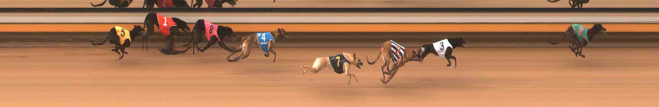 Photo finish for Warrnambool Race 3