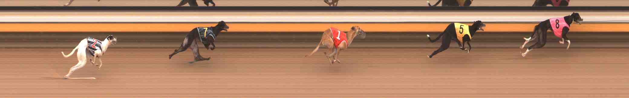 Photo finish for Warrnambool Race 4